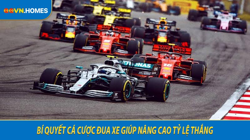 Bí quyết cá cược đua xe giúp nâng cao tỷ lệ thắng