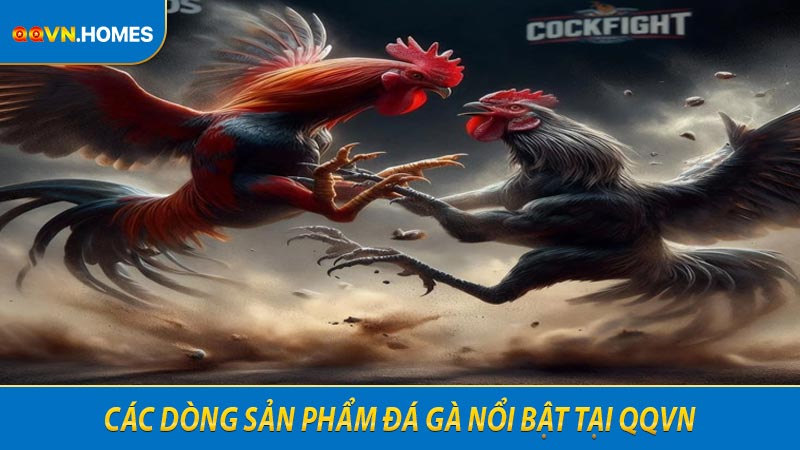 Các dòng sản phẩm đá gà nổi bật tại QQVN