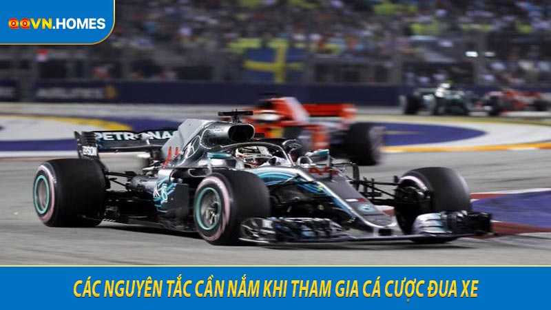 Các nguyên tắc cần nắm khi tham gia cá cược đua xe
