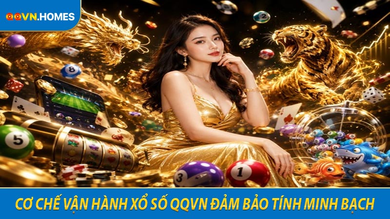 Cơ chế vận hành xổ số QQVN đảm bảo tính minh bạch