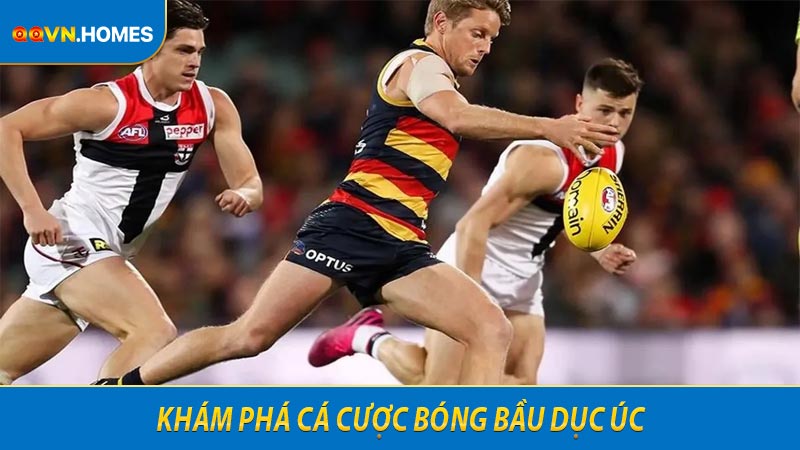 Khám phá cá cược bóng bầu dục Úc