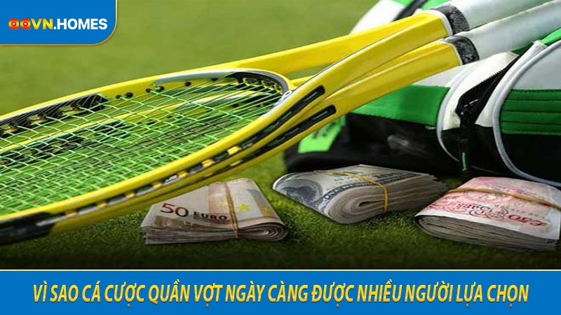 Vì sao cá cược quần vợt ngày càng được nhiều người lựa chọn